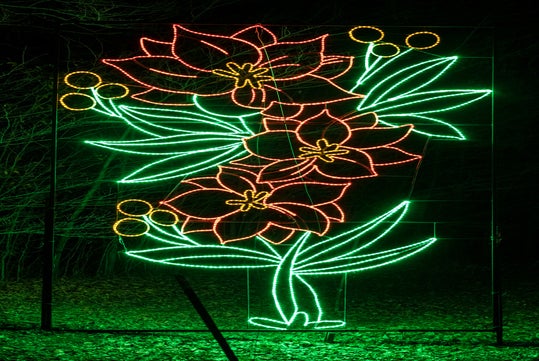 A Flower lighting display