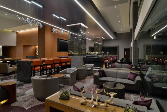 Bask in the elegance of the luxurious common area, complete with plush seating and refined decor.