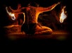 A person with body paint sits cross-legged, holding two flaming poi, performing a fire dance against a dark background.