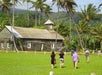 A tour group walking through a bright green field with a historic building and large palm trees in front of them.