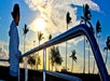 A person in a striped hoodie stands by a railing at sunset, with palm trees and a partly cloudy sky in the background.
