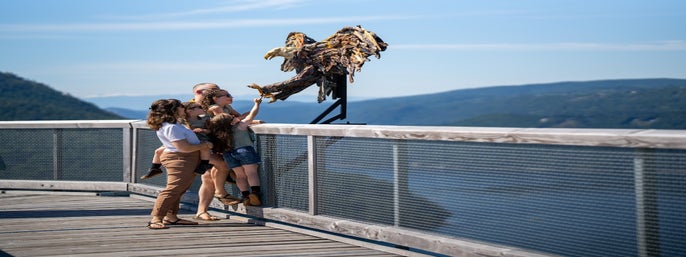 Malahat Skywalk  in Malahat, British Columbia