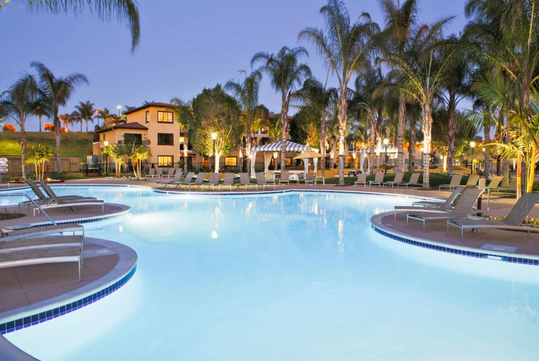 Illuminated outdoor swimming pool with surrounding palm trees and lounge chairs at dusk.