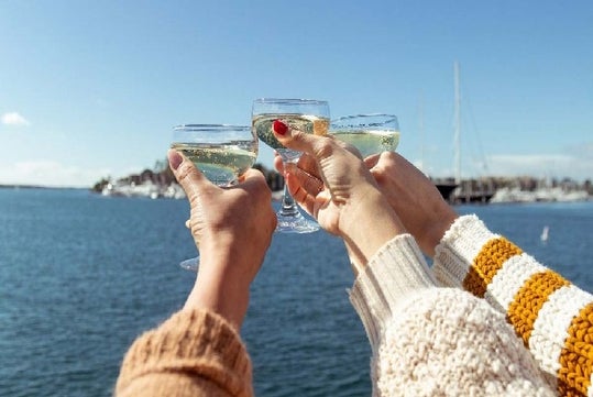 Three hands cheering their glasses together with the harbor in the background on the Marina del Rey Brunch Cruise.