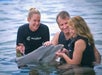 Marineland Dolphin Adventure in St. Augustine, Florida