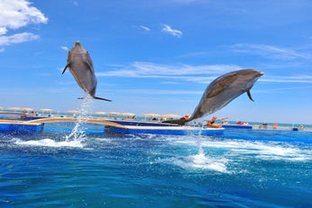 Marineland Dolphin Adventure in St. Augustine, Florida