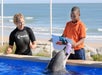 Marineland Dolphin Adventure in St. Augustine, Florida
