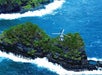 A Maverick airbus flying over Maui with sea foam and water splashing against the black rocky shores with trees scattered on them