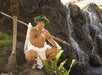 Maui Nui Luau at the Sheraton Maui Resort and Spa