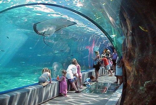 Maui Ocean Center- The Hawaiian Aquarium in Wailuku, Maui,, Hawaii
