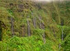 Several thin waterfalls flowing down a cliffside in small groups on the Maui Spectacular Helicopter Tour in Hawaii USA.