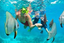 Mauna Kea Two-Stop Snorkel Adventure in Waimea, Hawaii