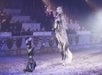A horse stands on its hind legs while a knight kneels
