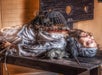 Rat Torture - Medieval Torture Museum Chicago