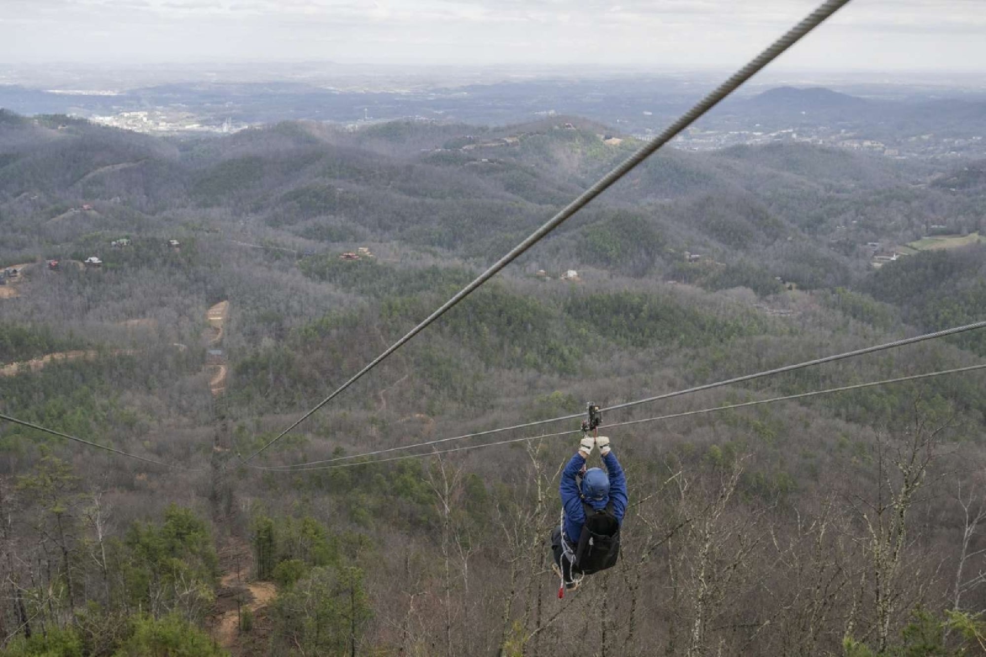 Forest canopy rushes past on your downhill flight.