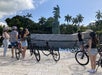 A group of cyclists wearing helmets stand with their bikes, observing a large hand sculpture near water, surrounded by palm trees and greenery.