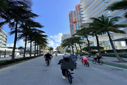 People cycling on a palm tree-lined street with tall modern buildings under a clear blue sky.