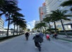 People cycling on a palm tree-lined street with tall modern buildings under a clear blue sky.