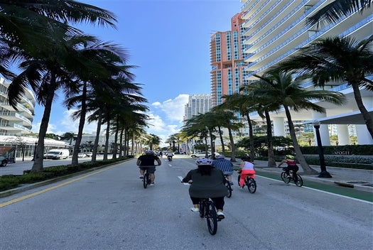 Cyclists ride down a palm-lined street with tall buildings on either side under a clear blue sky.