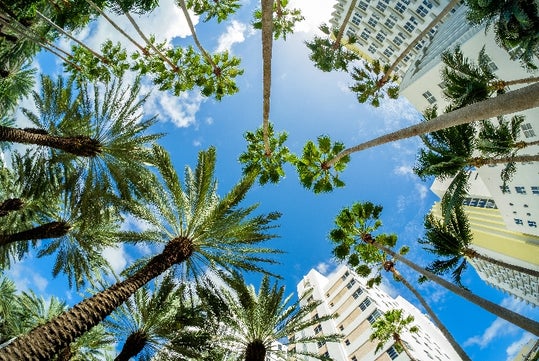 Miami City Tour by Gray Line Miami