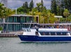 A blue and white tour boat passes by modern waterfront homes with tall palm trees in the background.
