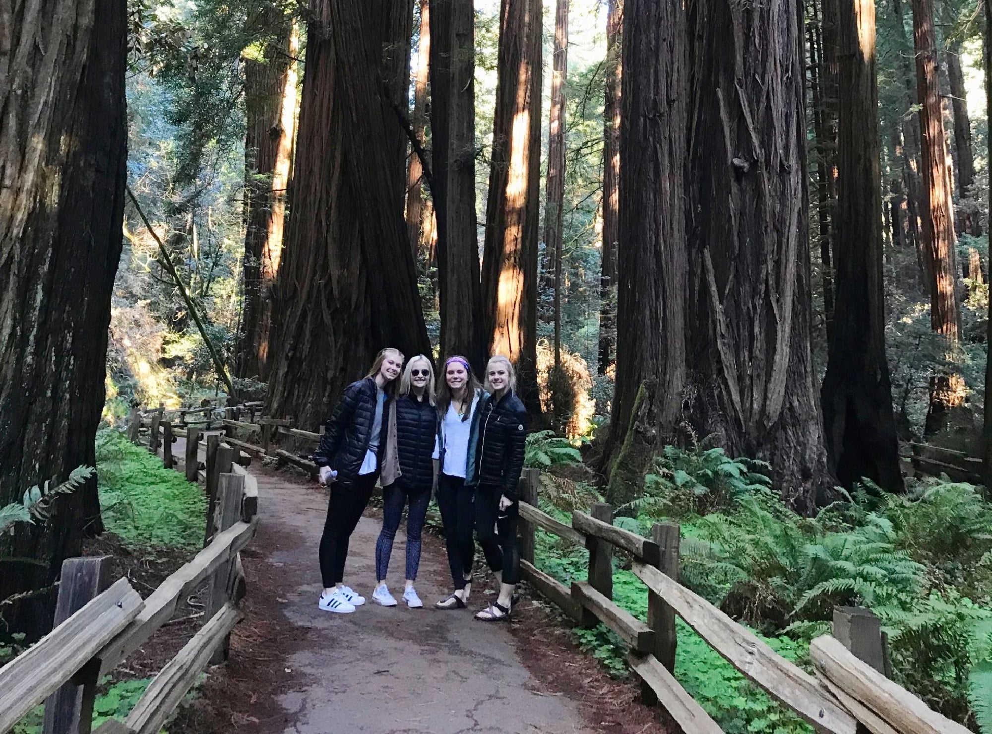 Four people stand together on a forest path surrounded by tall redwood trees and green ferns, with a wooden fence lining the walkway.