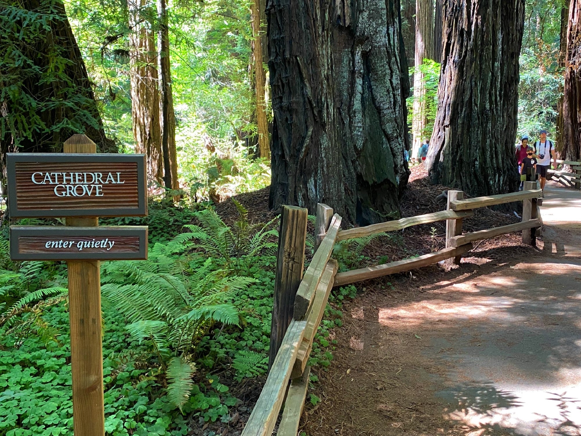 A wooden sign reads "Cathedral Grove, enter quietly" beside a dirt path and wooden fence in a redwood forest. Several people walk along the shaded trail in the background.