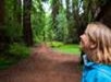 Person in a blue jacket looking up while standing on a forest path surrounded by tall trees.