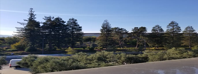 Muir Woods and Sausalito Half-Day Tour in San Francisco, California