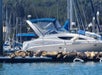 The picturesque waterfront town of Sausalito, with colorful houseboats and sailboats.