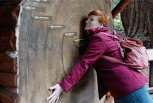 Muir Woods and Sonoma Wine Country Day Tour - San Francisco, CA