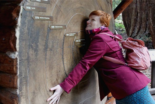 Muir Woods & Wine Country Day Tour in San Francisco , California