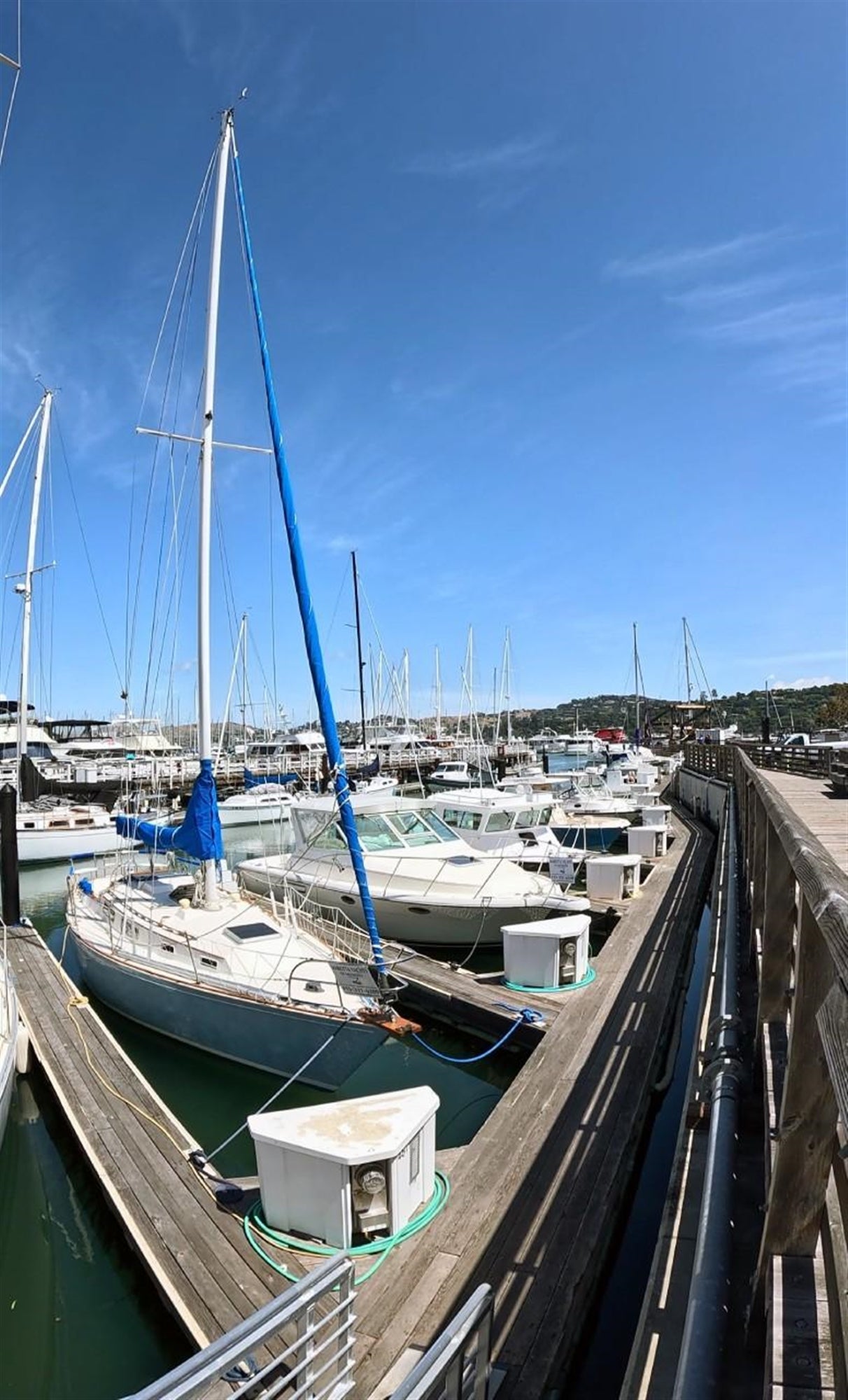 Sailboats docked at the peaceful Sausalito Yacht Harbor.