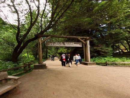 Muir Woods and Sausalito Half-Day Tour in San Francisco, California