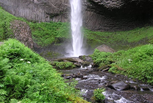 Multnomah Falls & City Tour