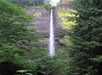Tall, narrow waterfall cascading down a mossy cliff surrounded by dense green trees and forest vegetation.