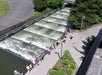 People stand along a fenced walkway observing a fish ladder with multiple stepped water channels, surrounded by greenery and a paved path.