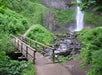 A wooden footbridge crosses a stream surrounded by lush greenery with a waterfall cascading down rocks in the background.