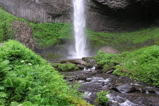 A tall waterfall cascades down a rocky cliff into a stream surrounded by lush green plants and ferns.