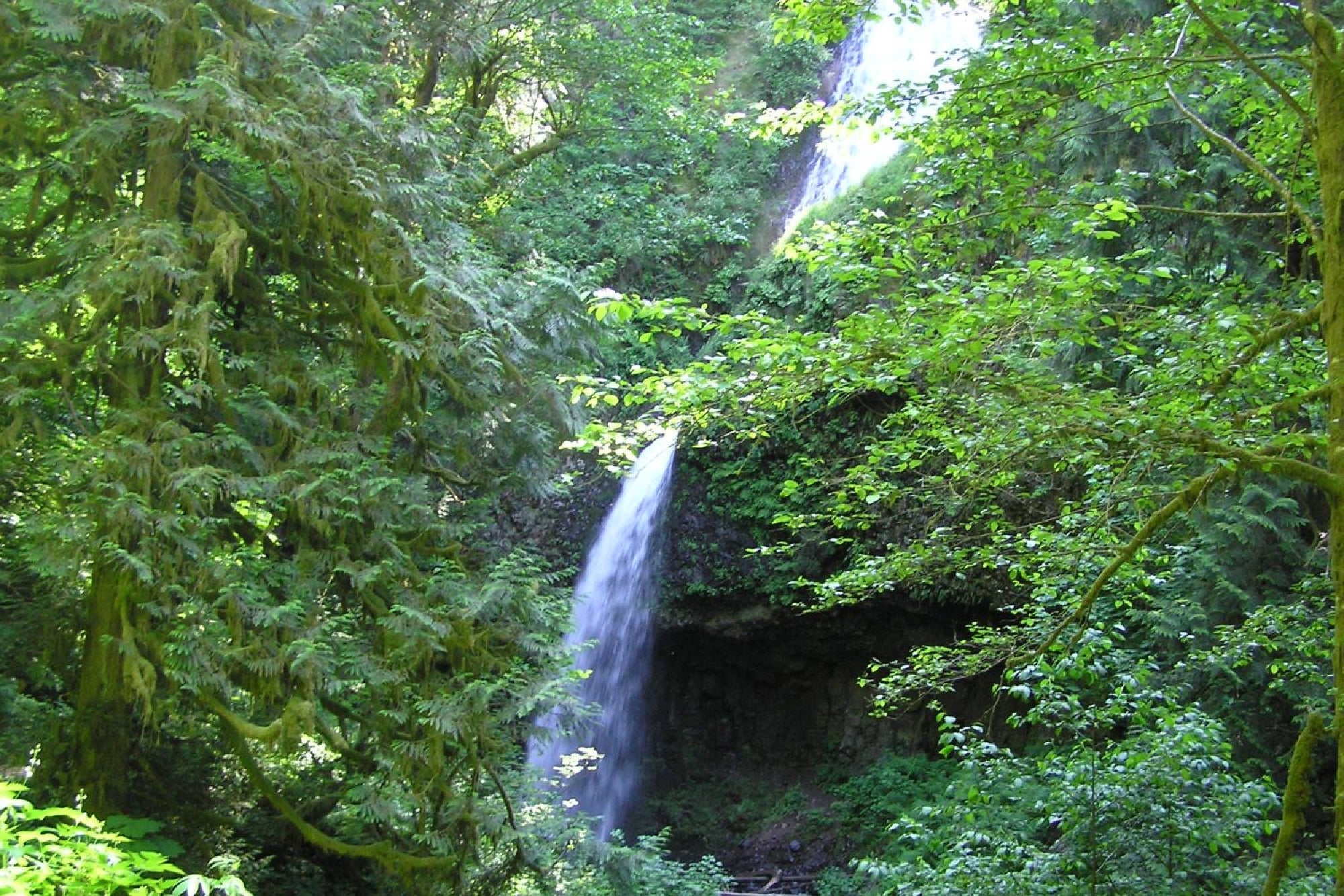 A narrow waterfall cascades down a rocky slope surrounded by dense green forest and foliage.