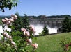 Pink flowers and green trees in the foreground, with a large dam releasing water in the background under a clear blue sky.