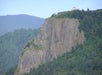 Multnomah Falls & Columbia River Gorge Tour