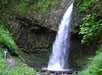 A tall waterfall cascades over a rocky cliff surrounded by lush green foliage, with two people and a dog standing nearby for scale.