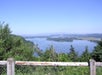 Multnomah Falls & Columbia River Gorge Tour