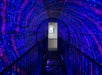 Museum of Illusions in Toronto, ON