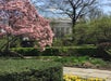 A garden scene with blooming pink and yellow flowers, neatly trimmed bushes, and a large building with columns in the background.