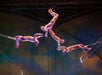 Four trapeze artists in colorful costumes perform an aerial routine, mid-air, reaching towards each other above a stage with circus rigging visible.