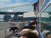 A group of people sit on a tour boat under a bridge with the New York City skyline in the background. A man stands by the railing. The boat displays the "Starship Tours and Events" logo.