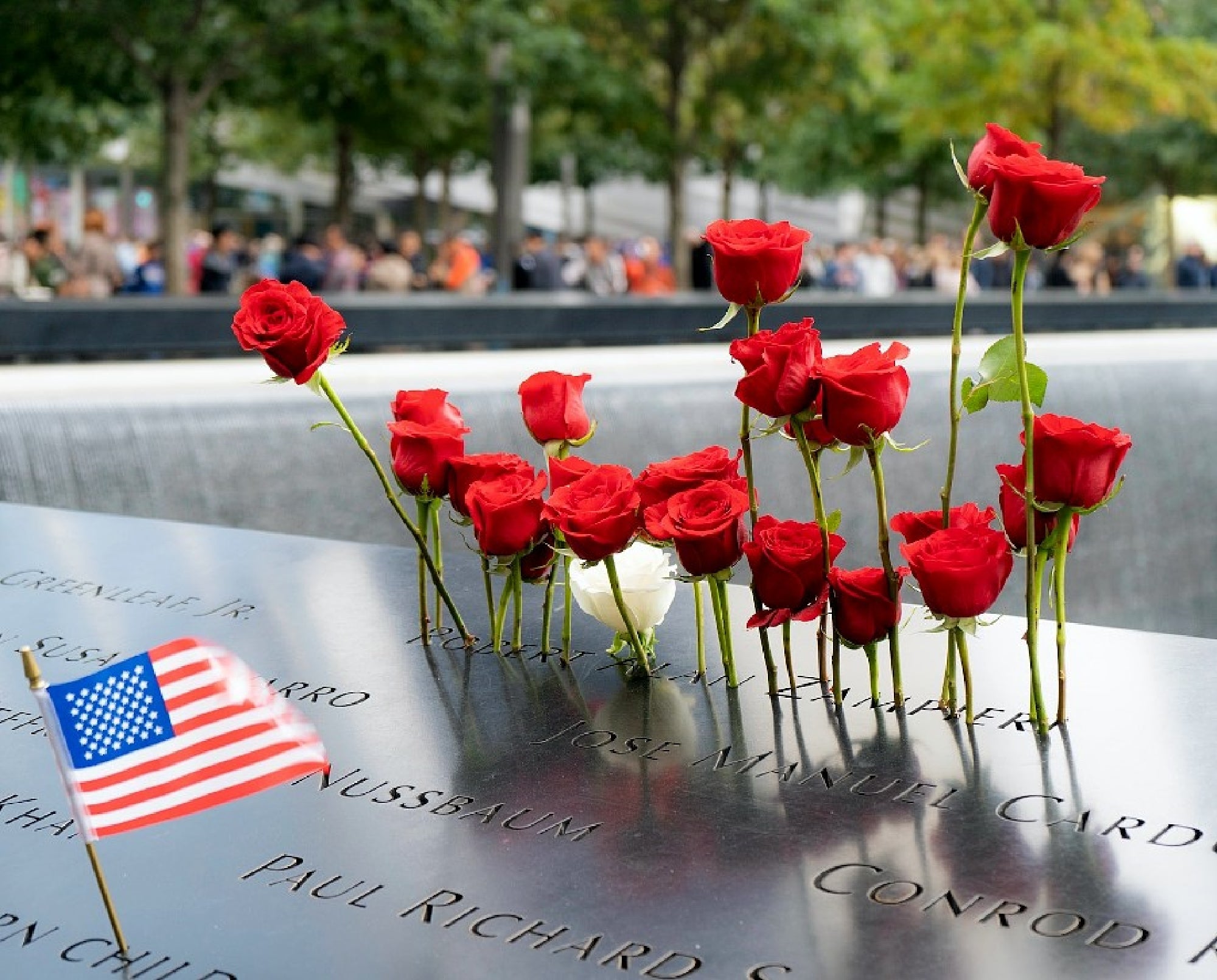 Red roses and a miniature American flag placed on a memorial wall with engraved names. Trees and a crowd of people are visible in the background.
