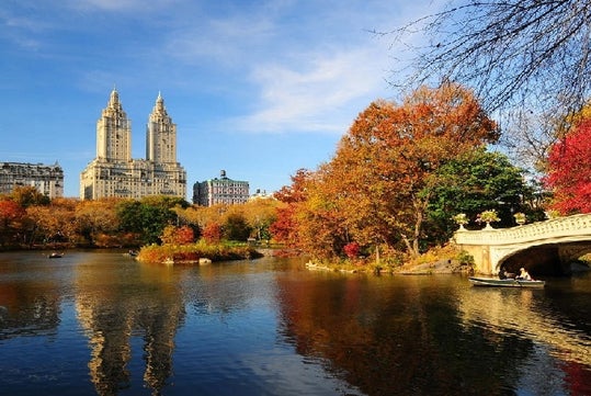 Central Park